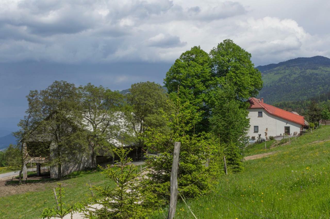 Вилла Turisticna Kmetija Toman Gornji Grad Экстерьер фото